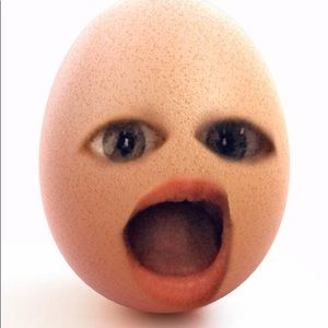 Meet your Posher, Gracie